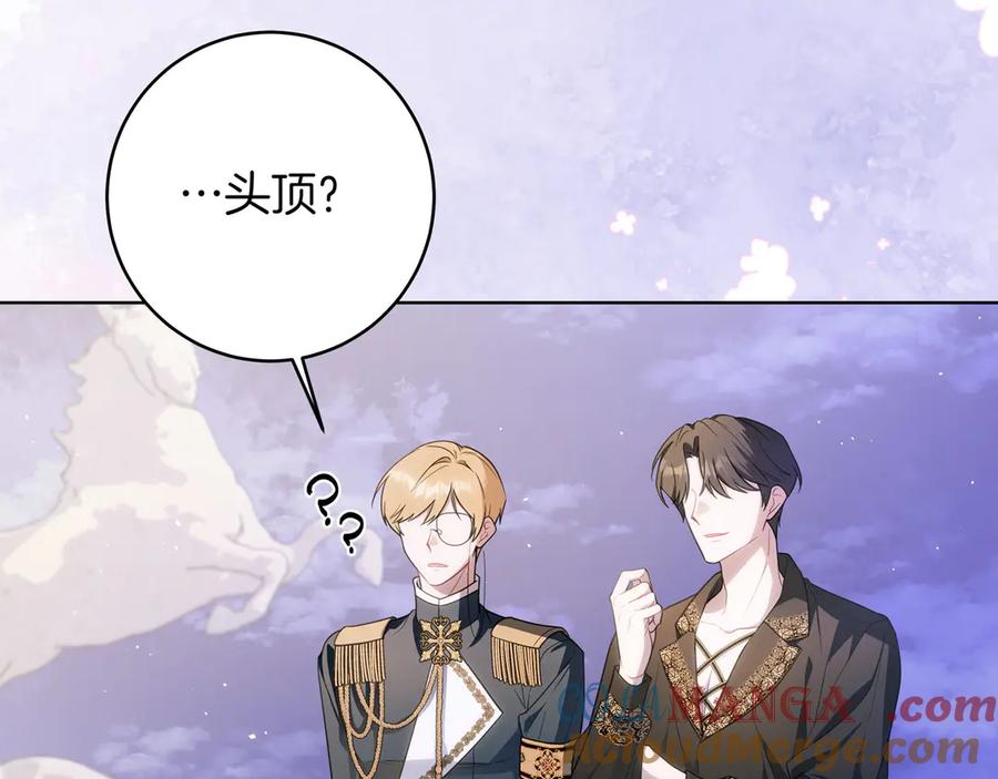 第205页