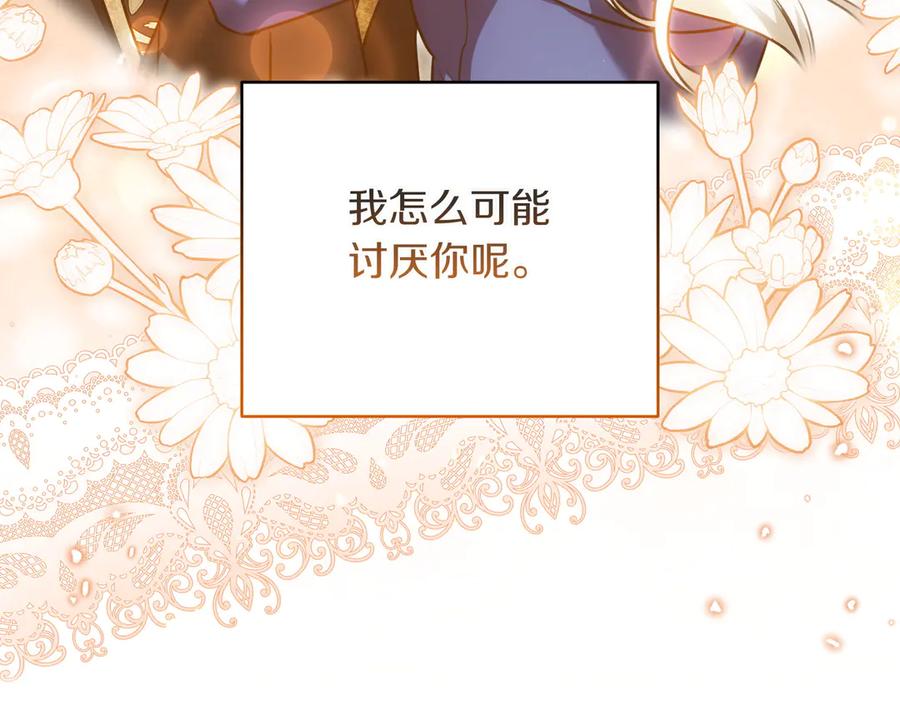 第223页