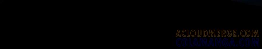 第229页