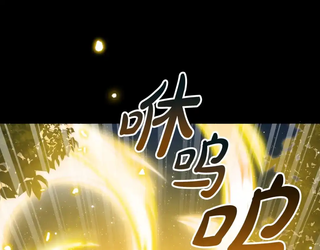 第212页