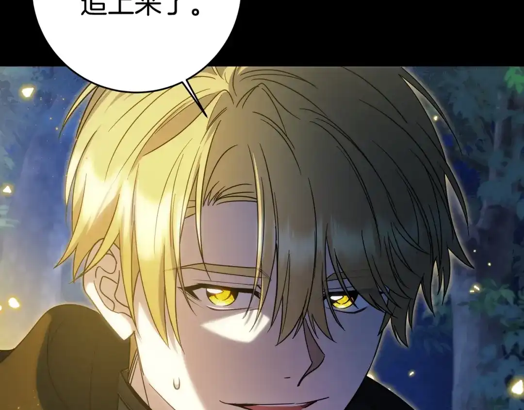 第223页