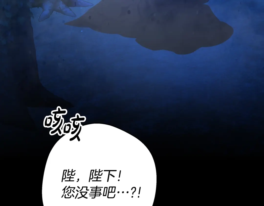 第197页