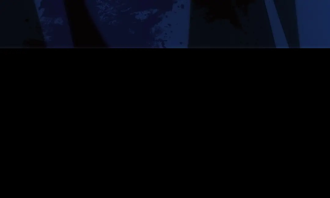 第204页