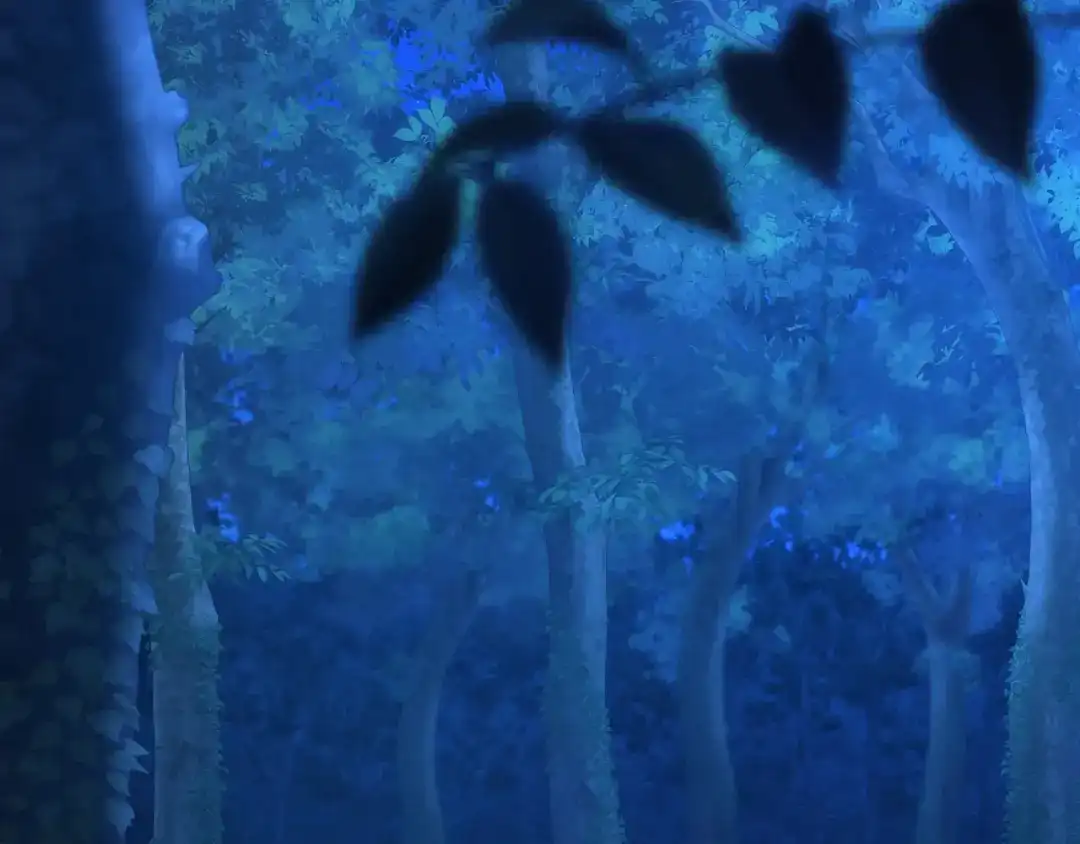 第215页