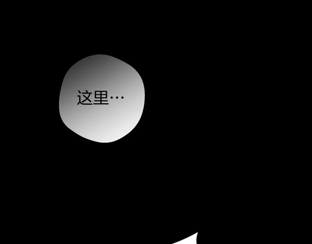 第234页