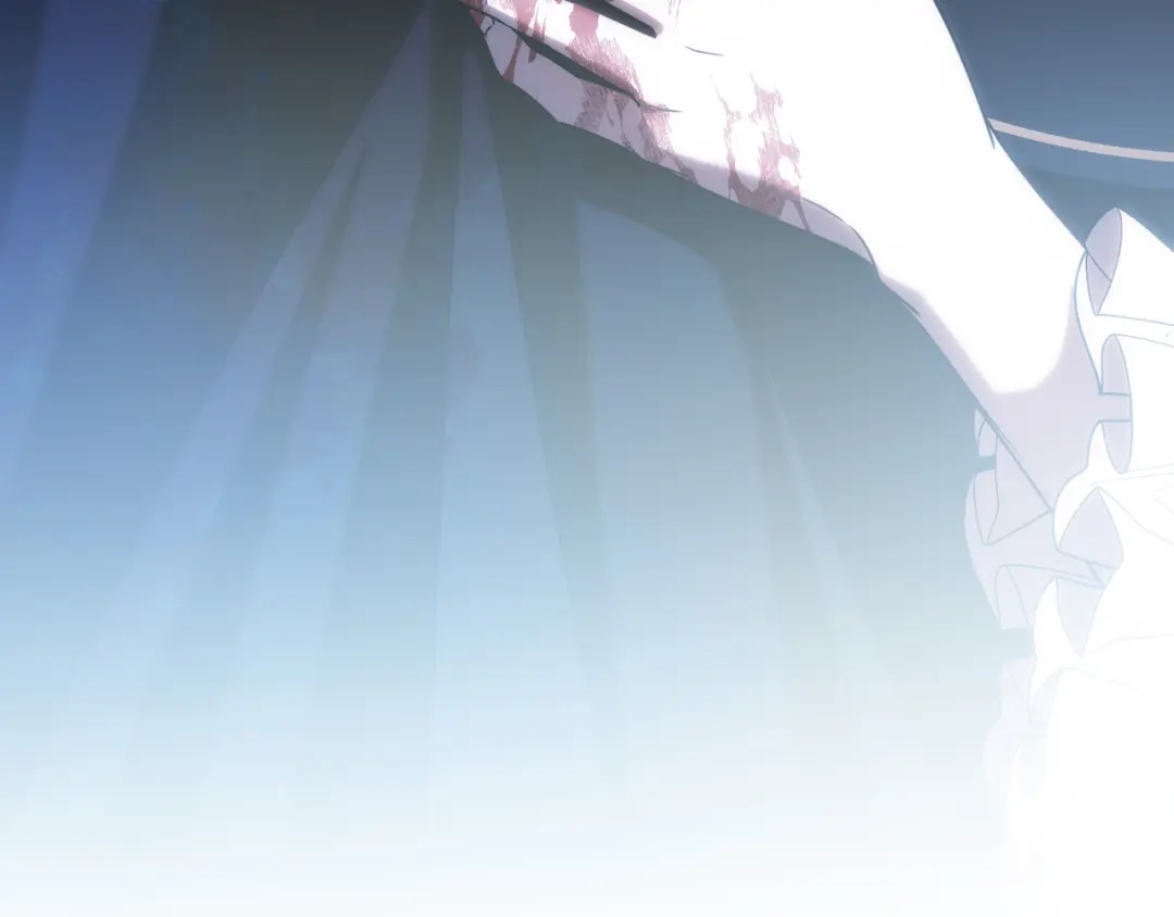 第242页
