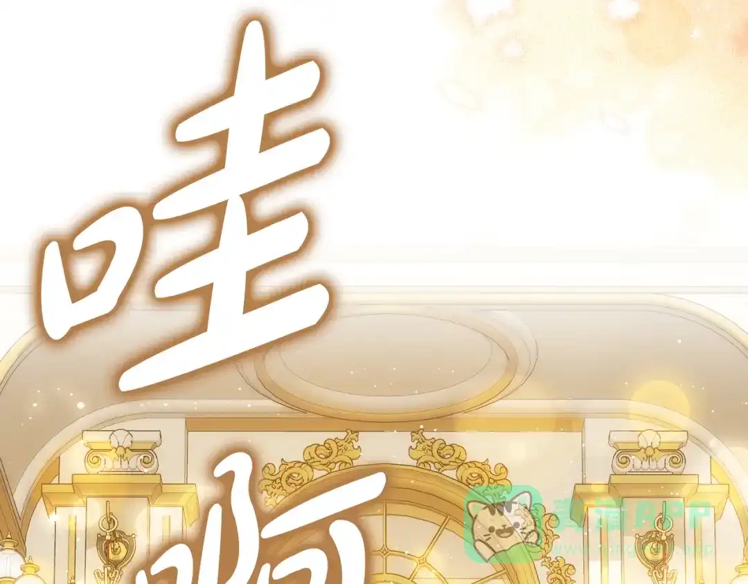第146页