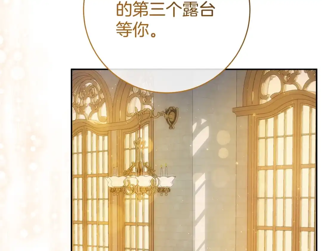 第217页
