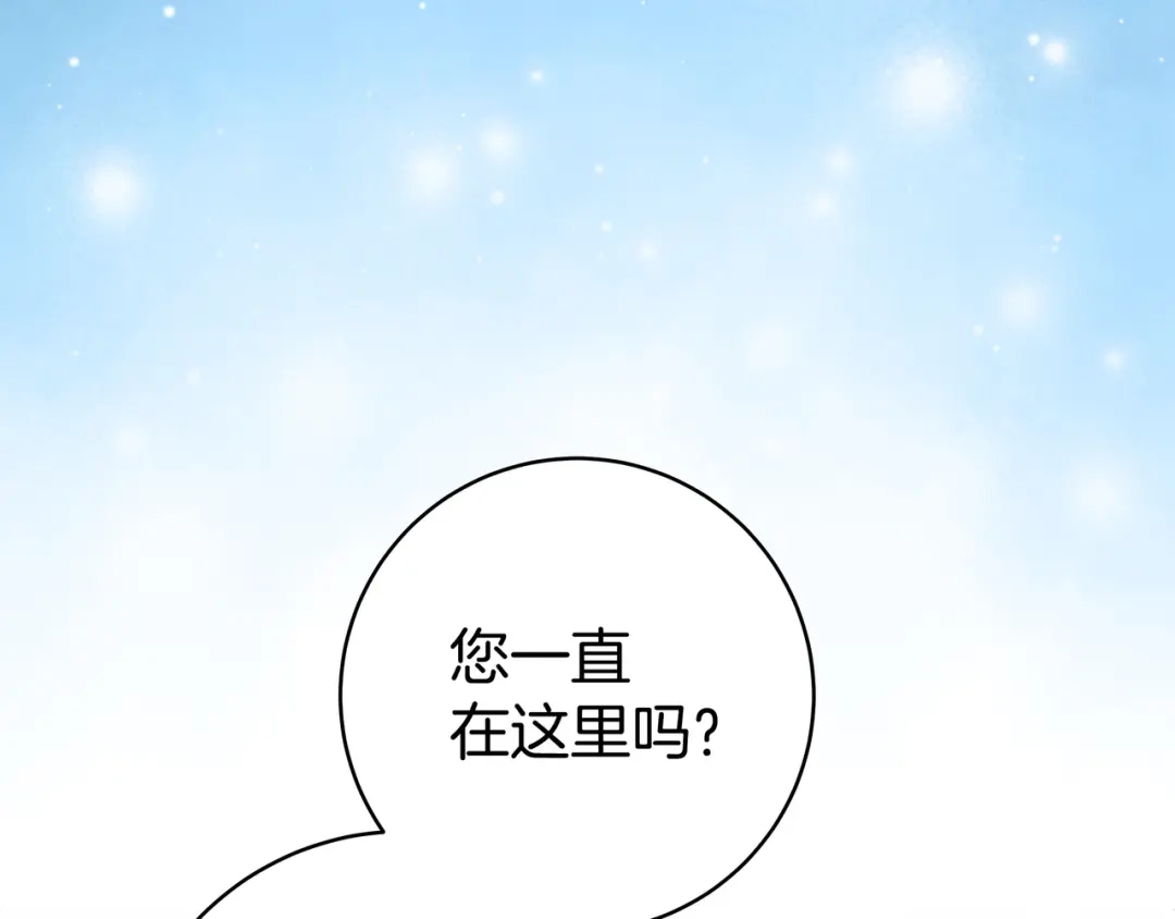 第240页
