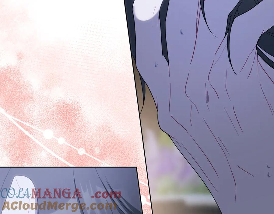 第221页