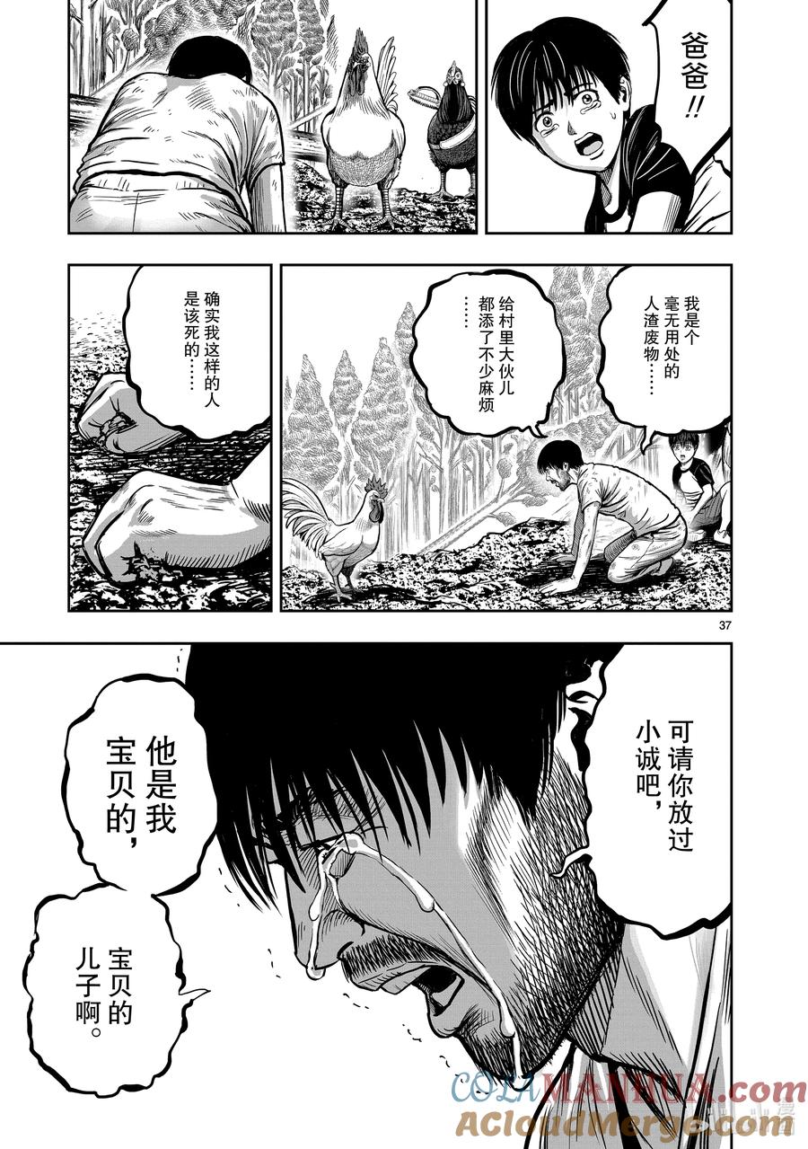 第37页
