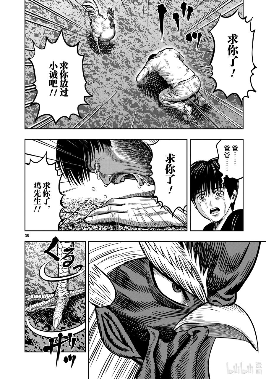 第38页