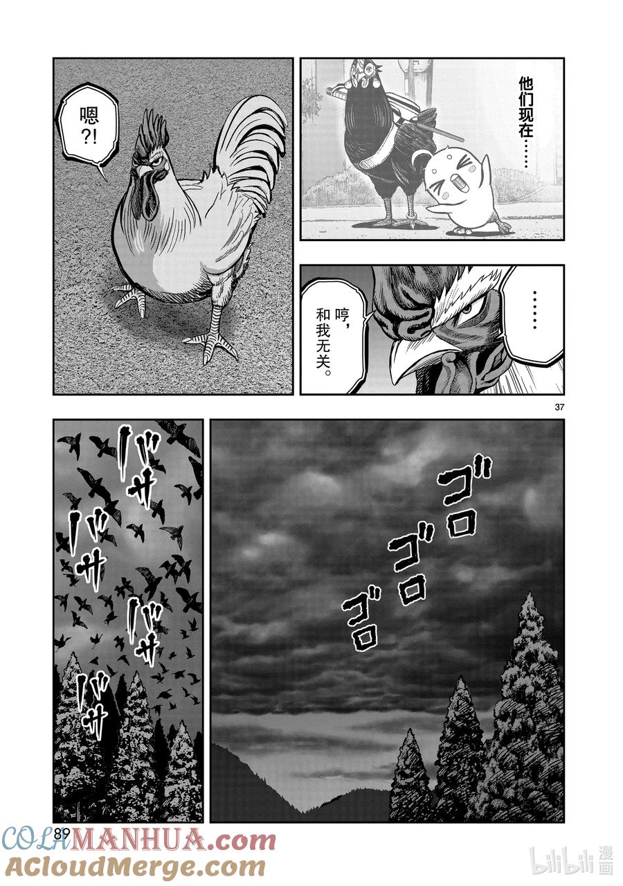 第37页