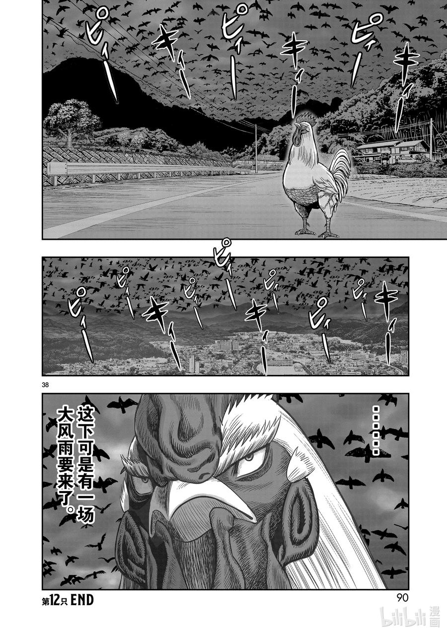 第38页