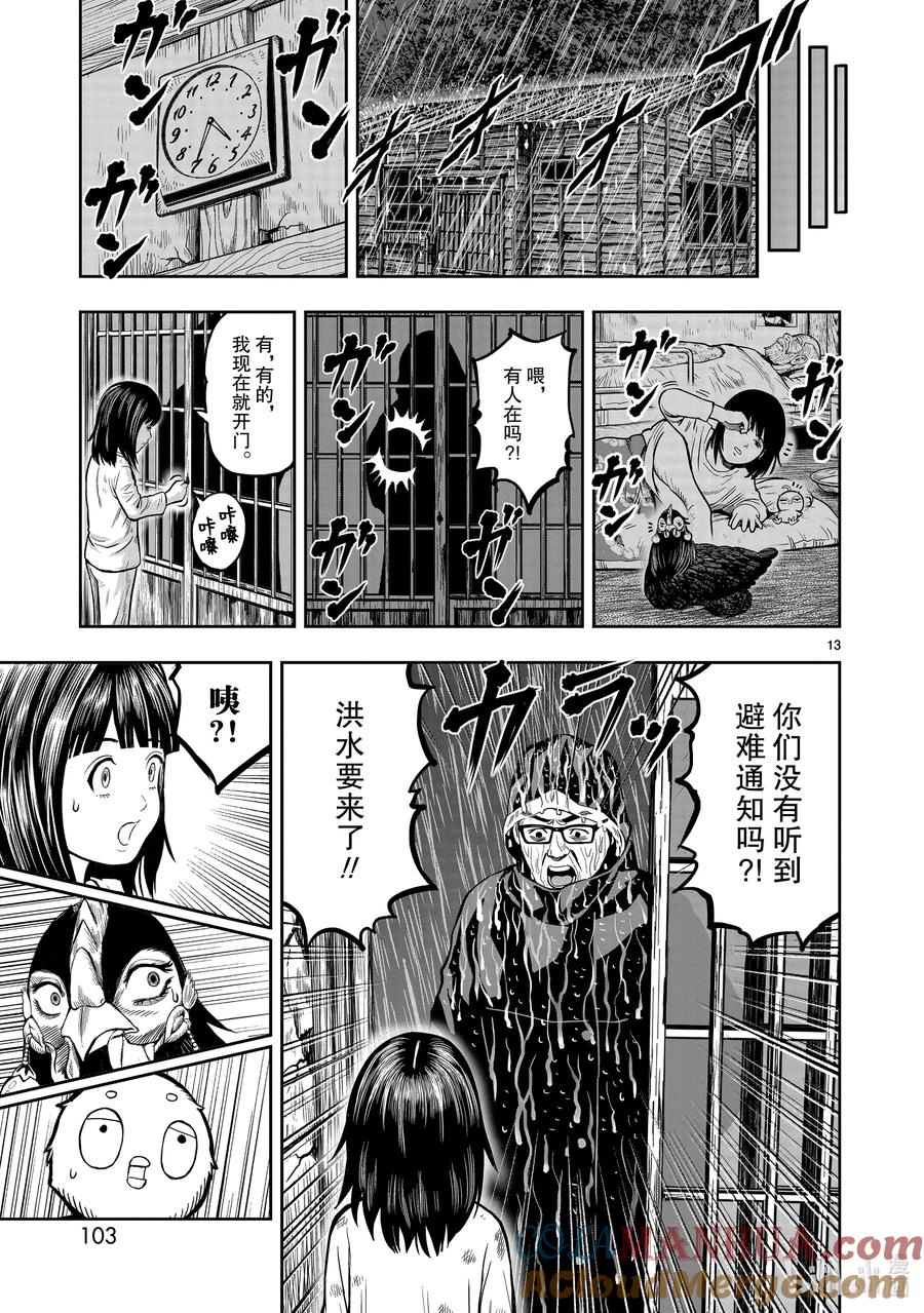 第13页