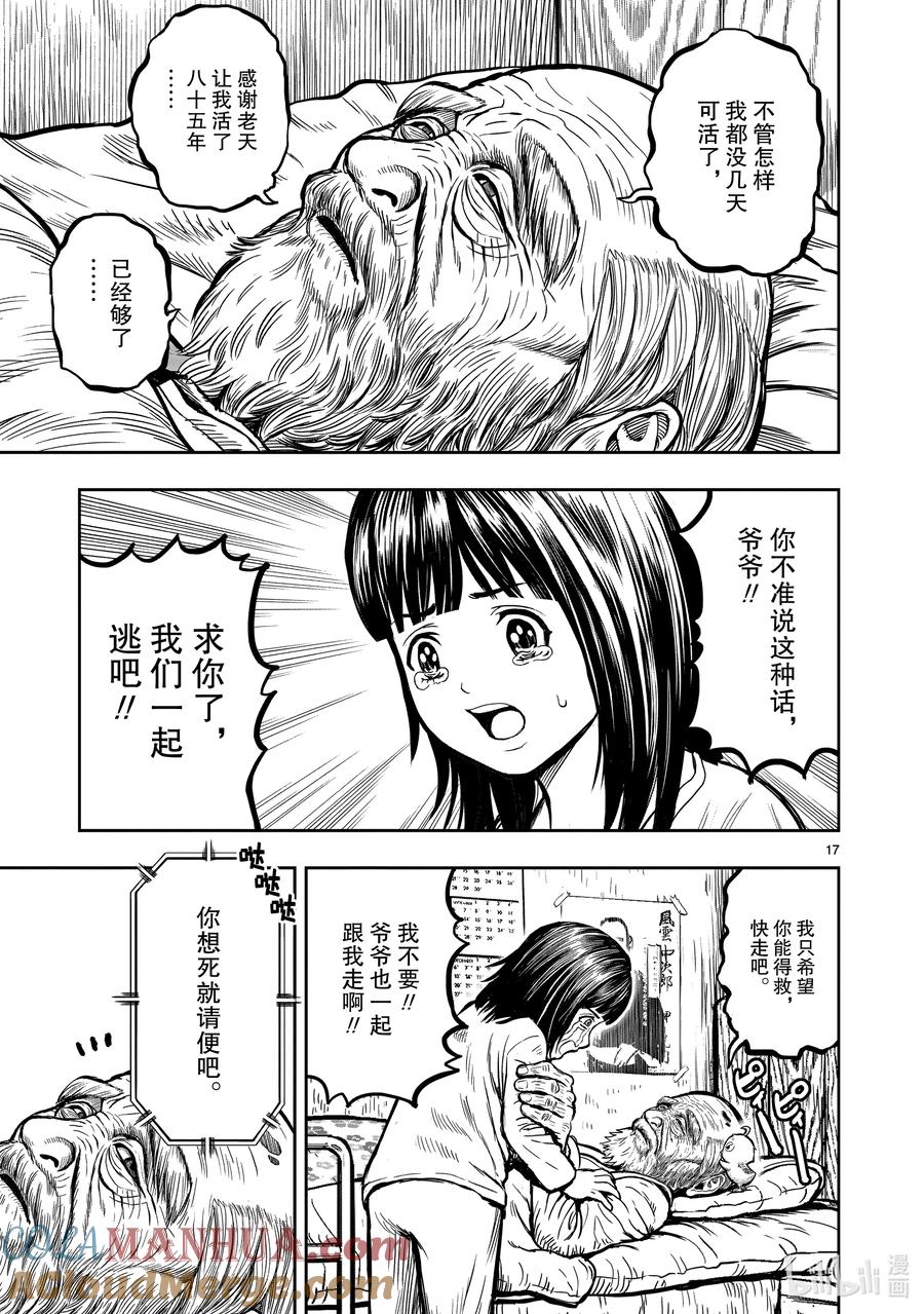 第17页