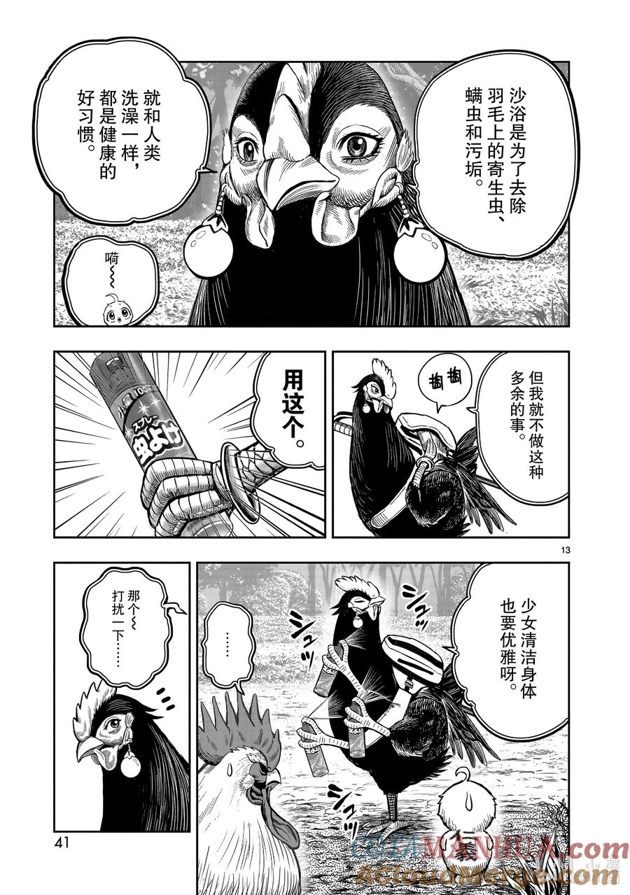 第13页