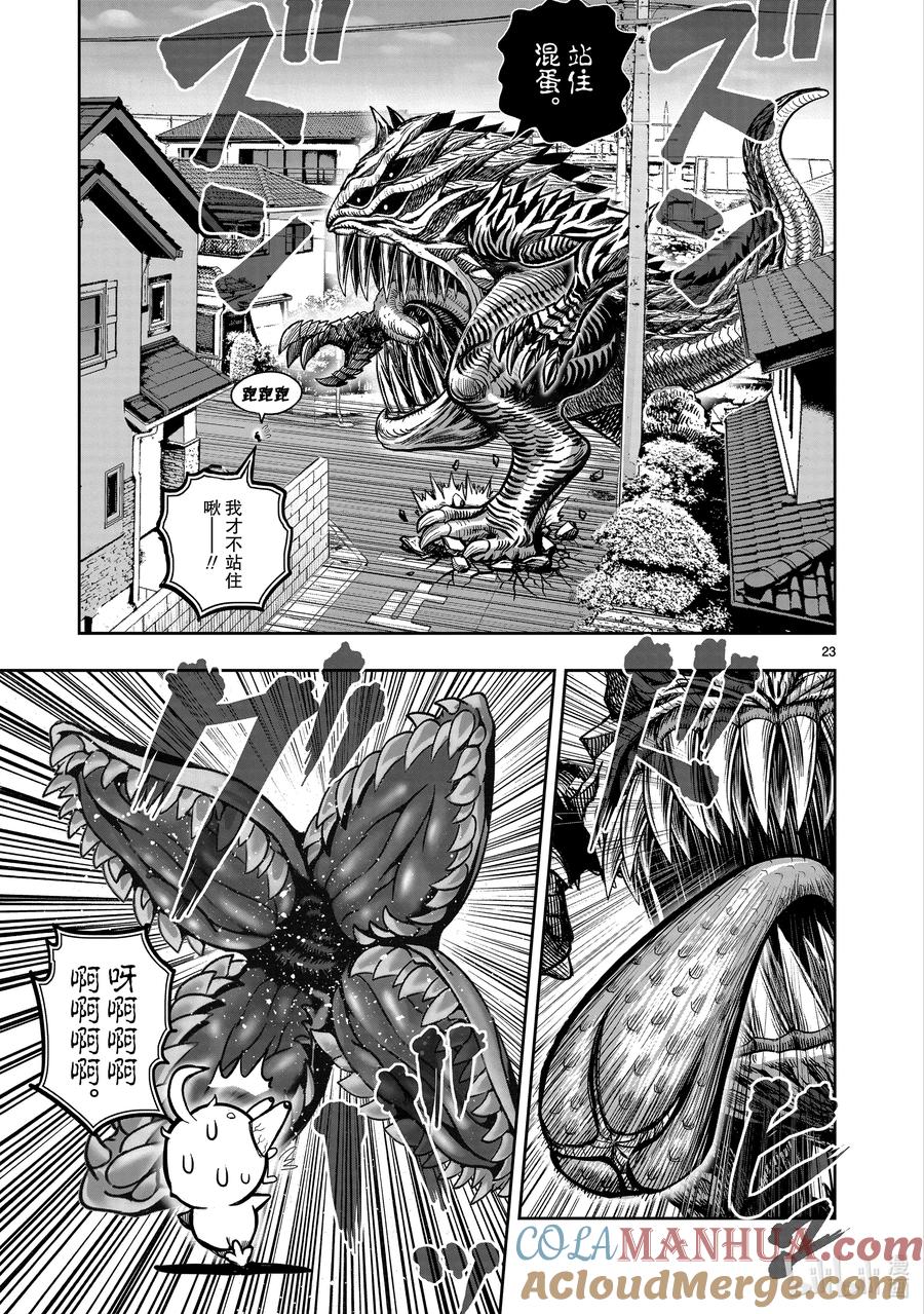 第23页