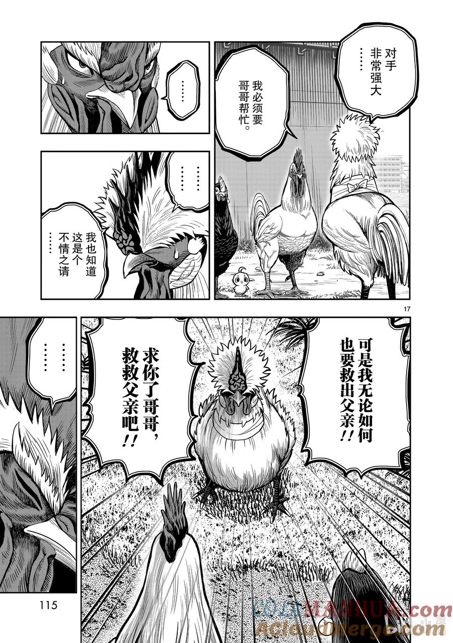 第17页