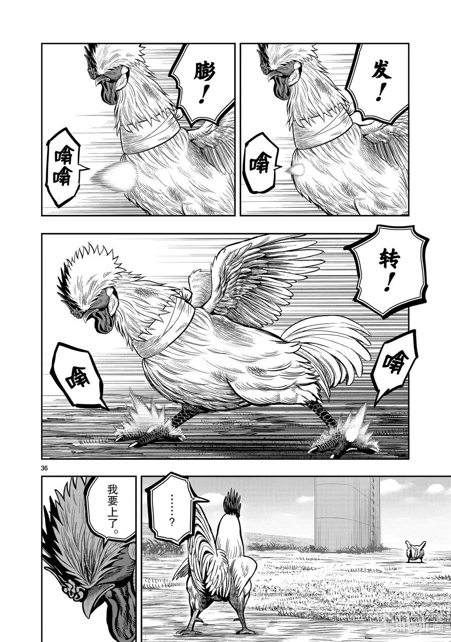 第36页