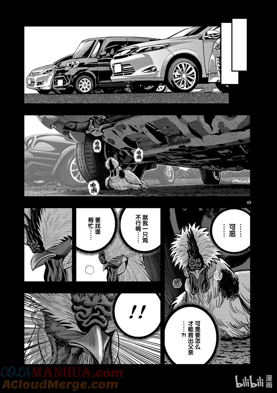 第43页