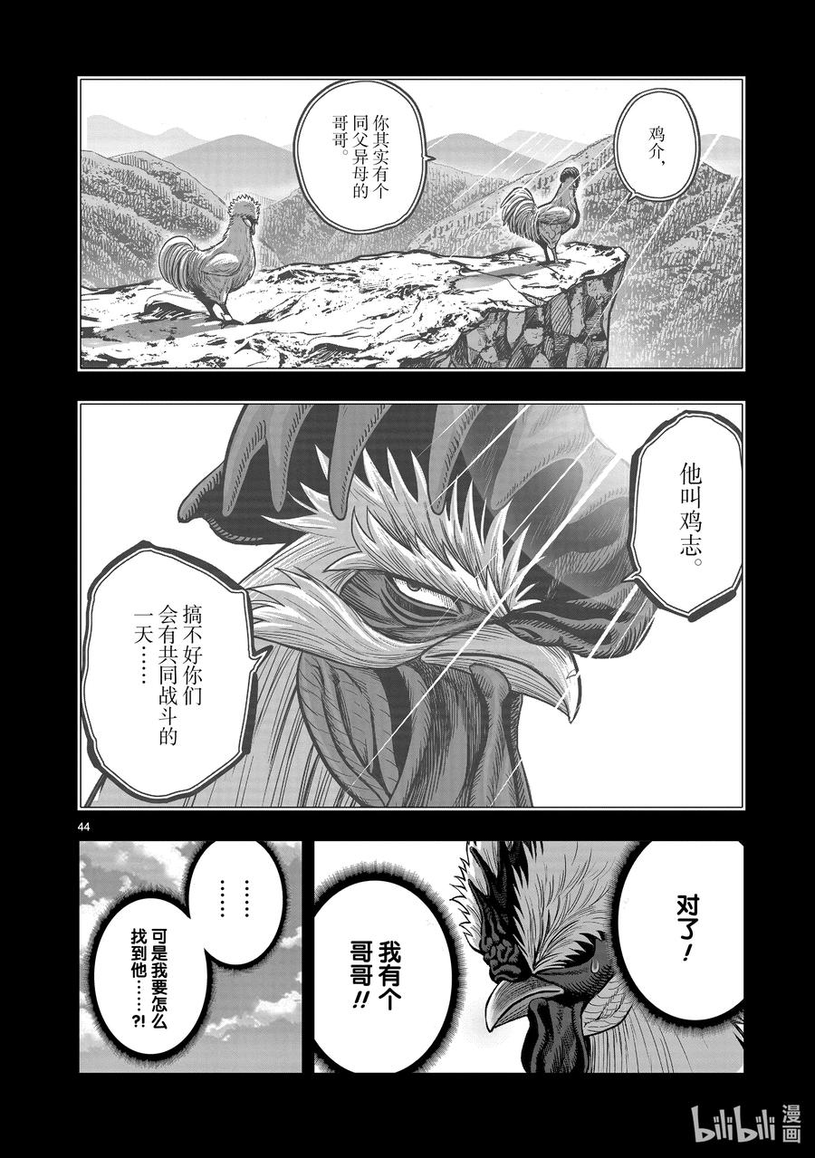 第44页