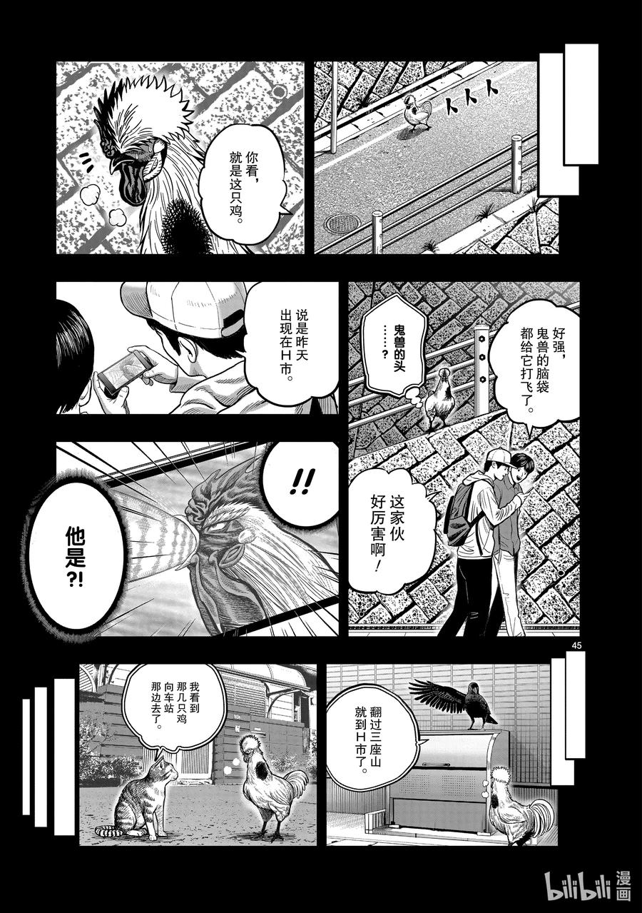 第45页