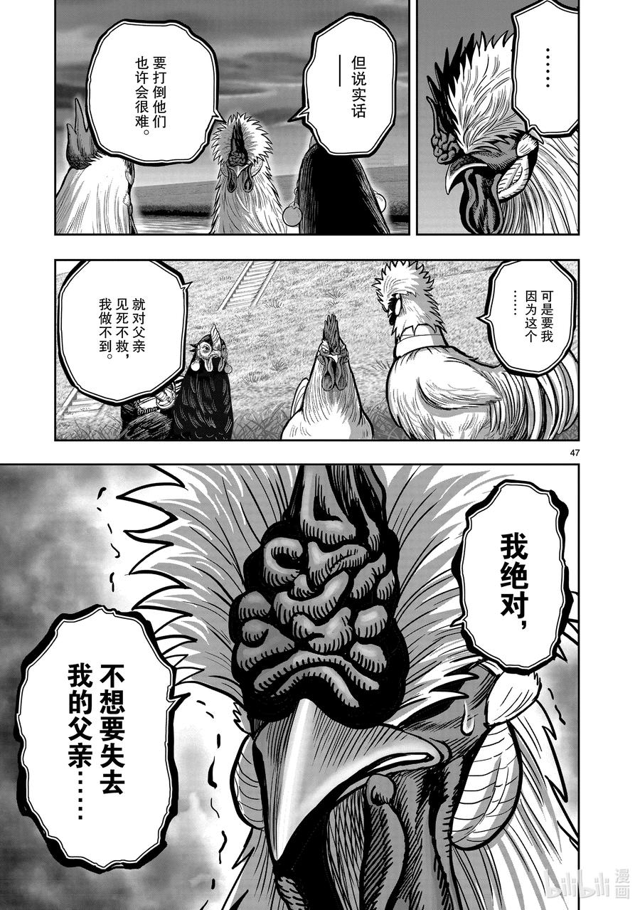 第47页