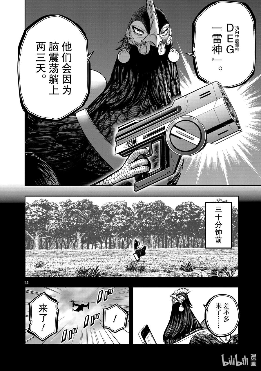 第42页