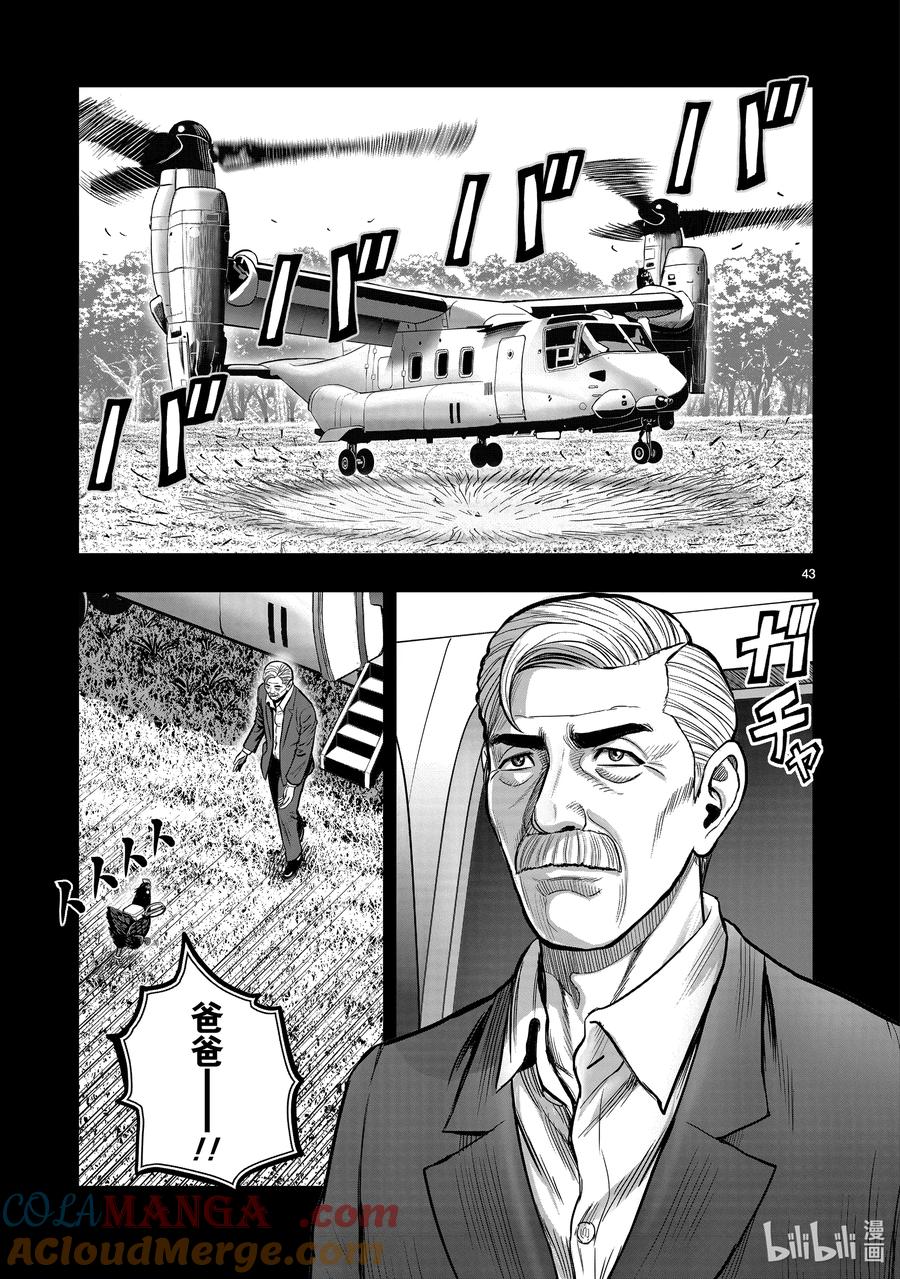 第43页