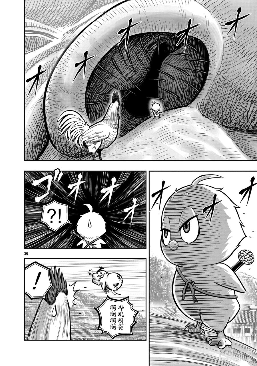第36页