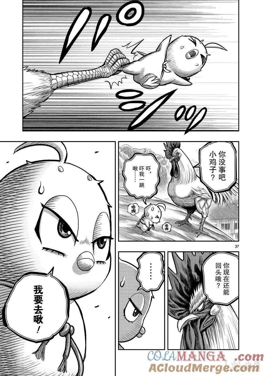 第37页