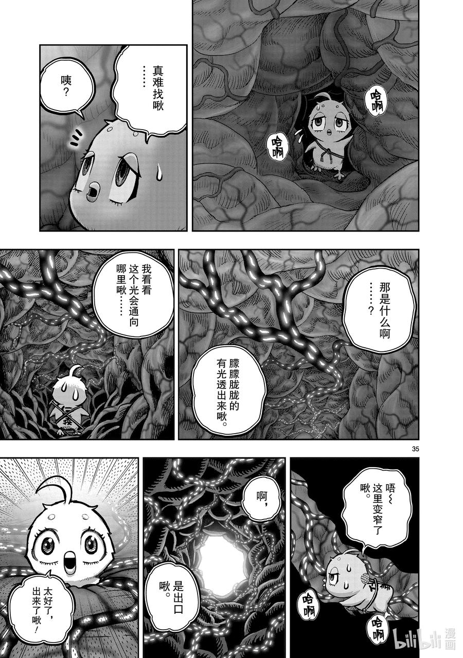 第35页