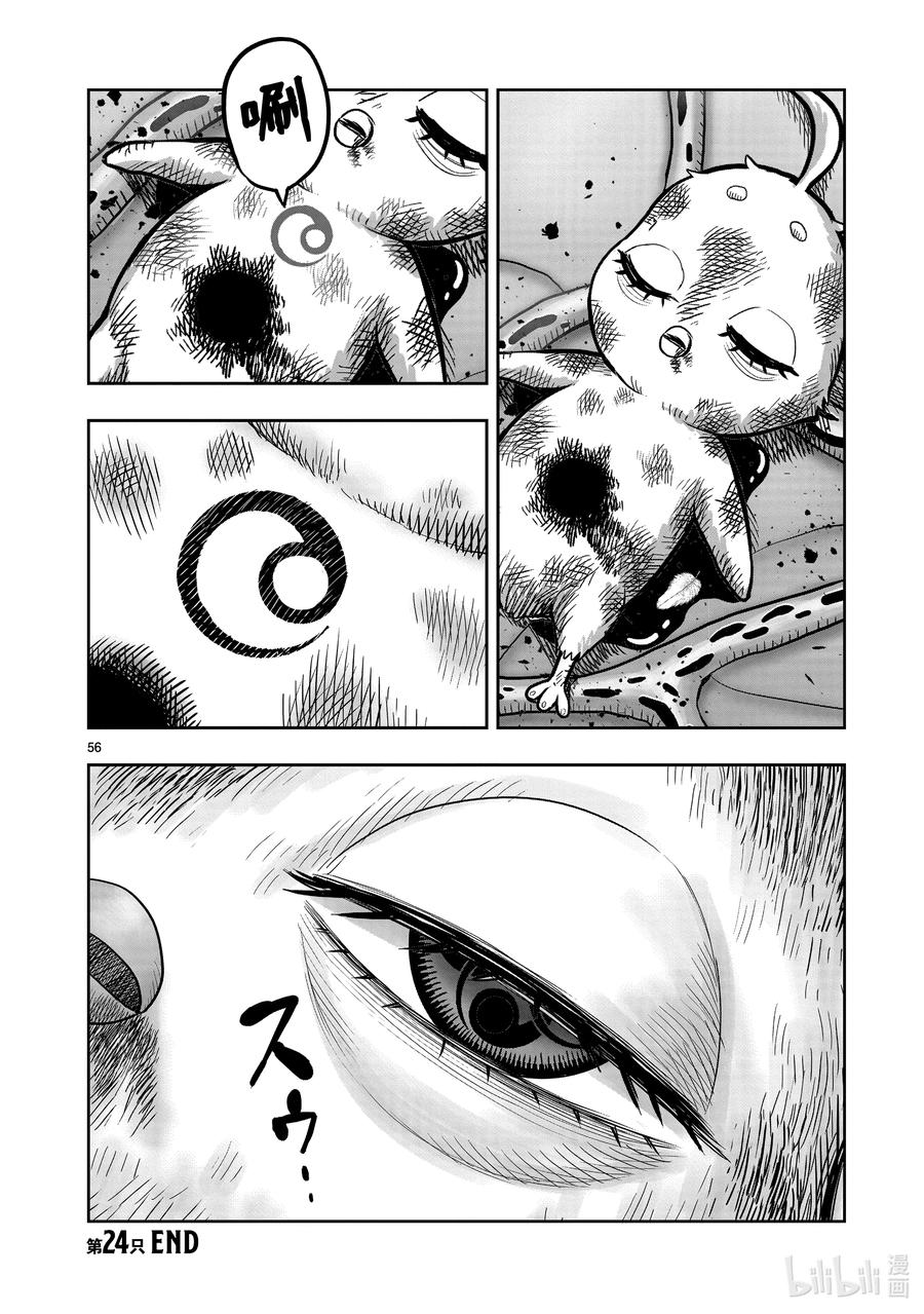 第56页