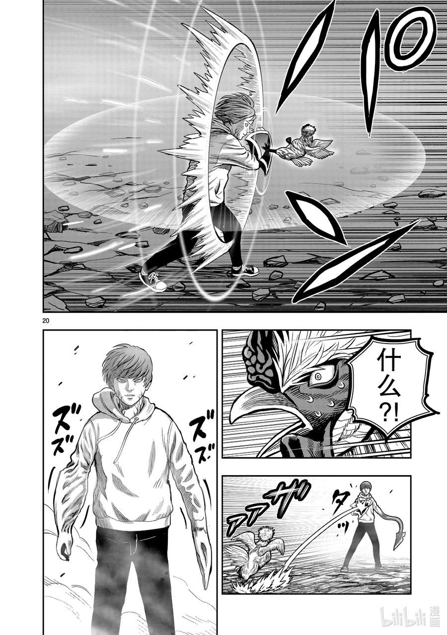 第20页
