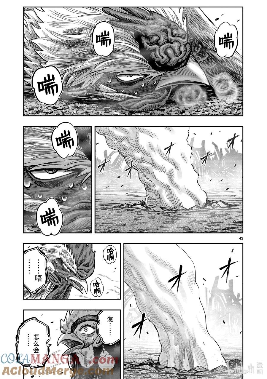 第43页