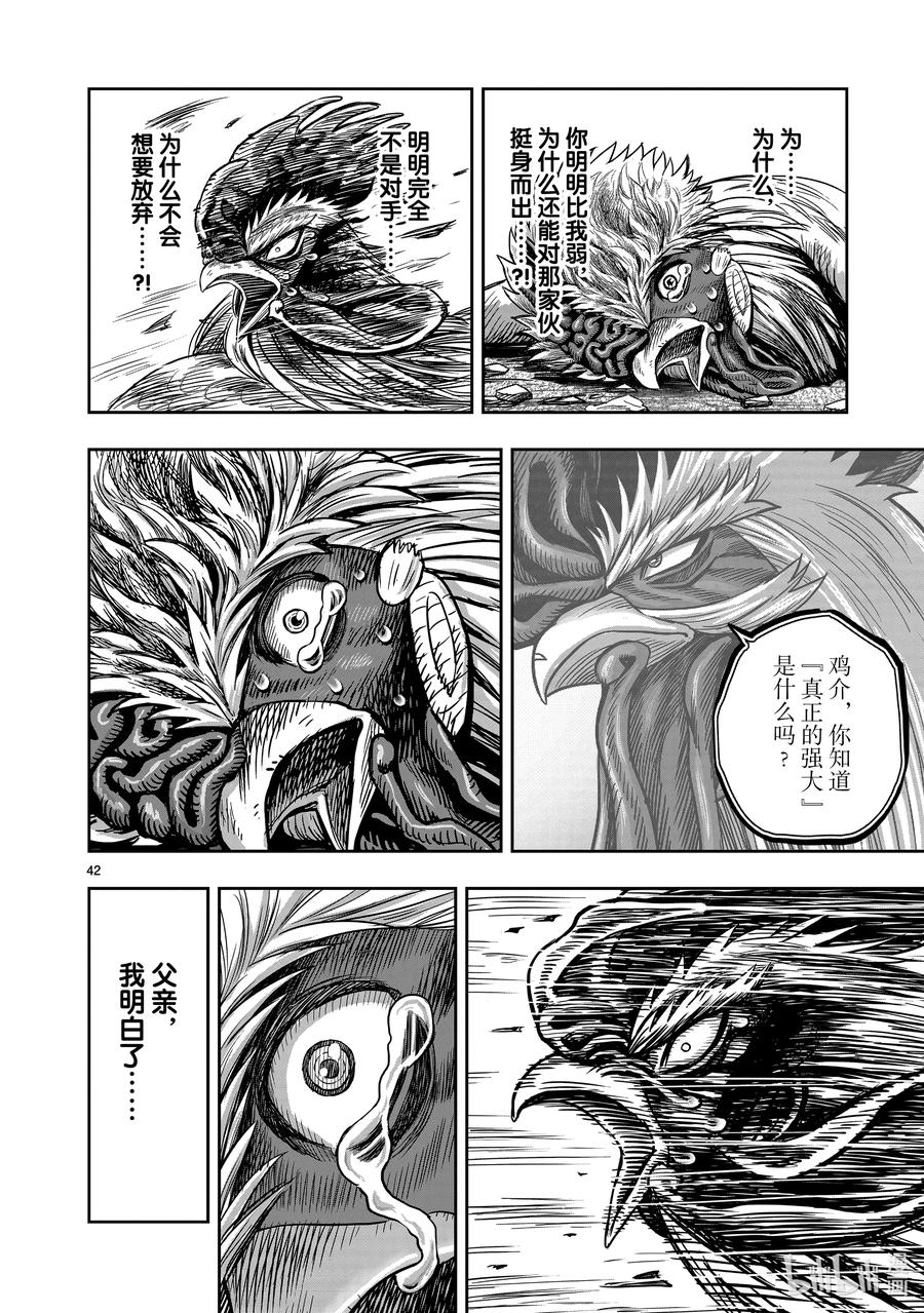第42页