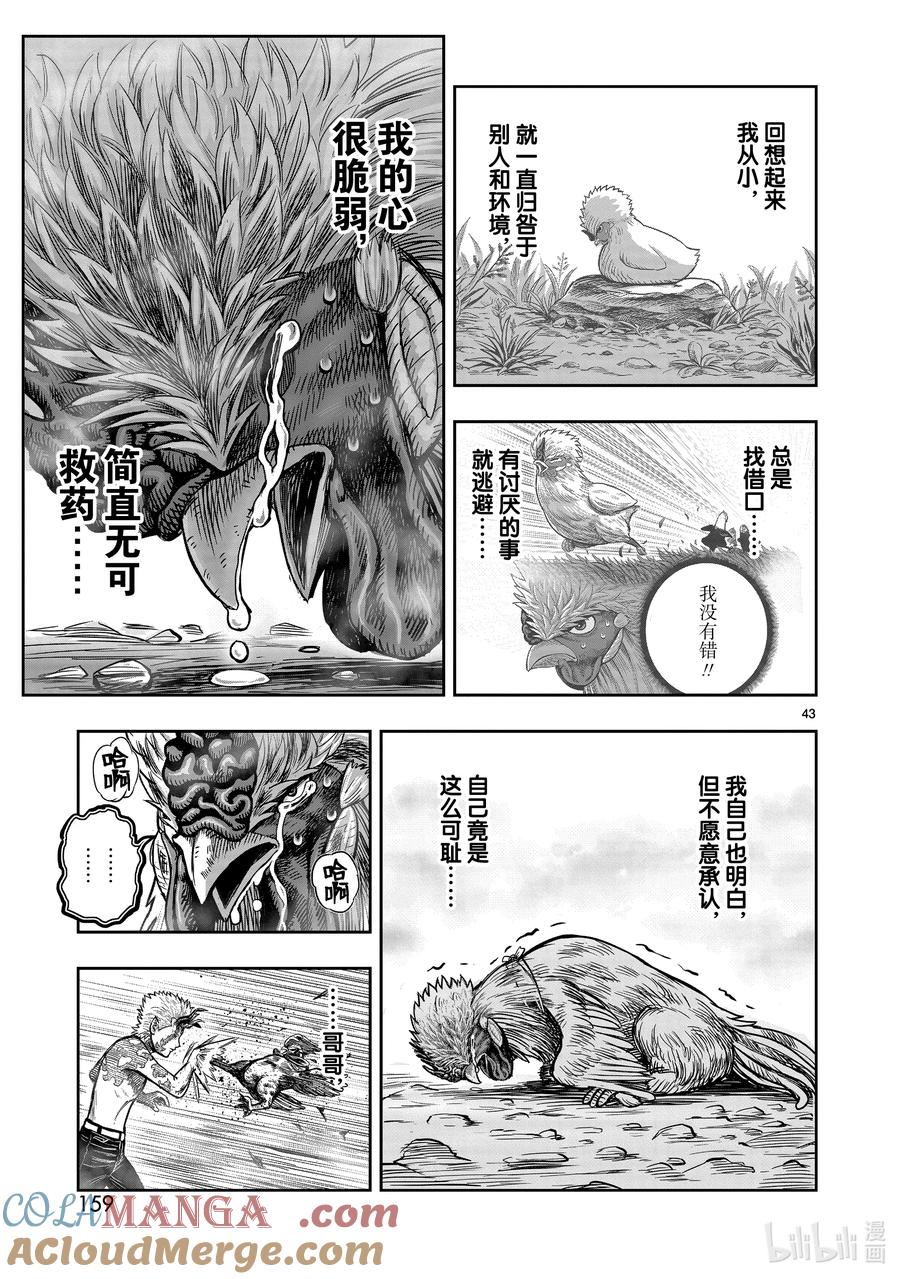 第43页