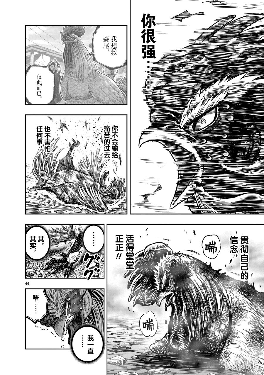 第44页