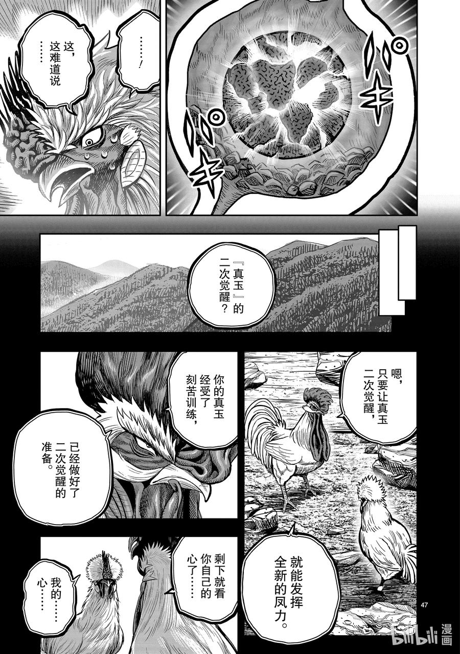 第47页