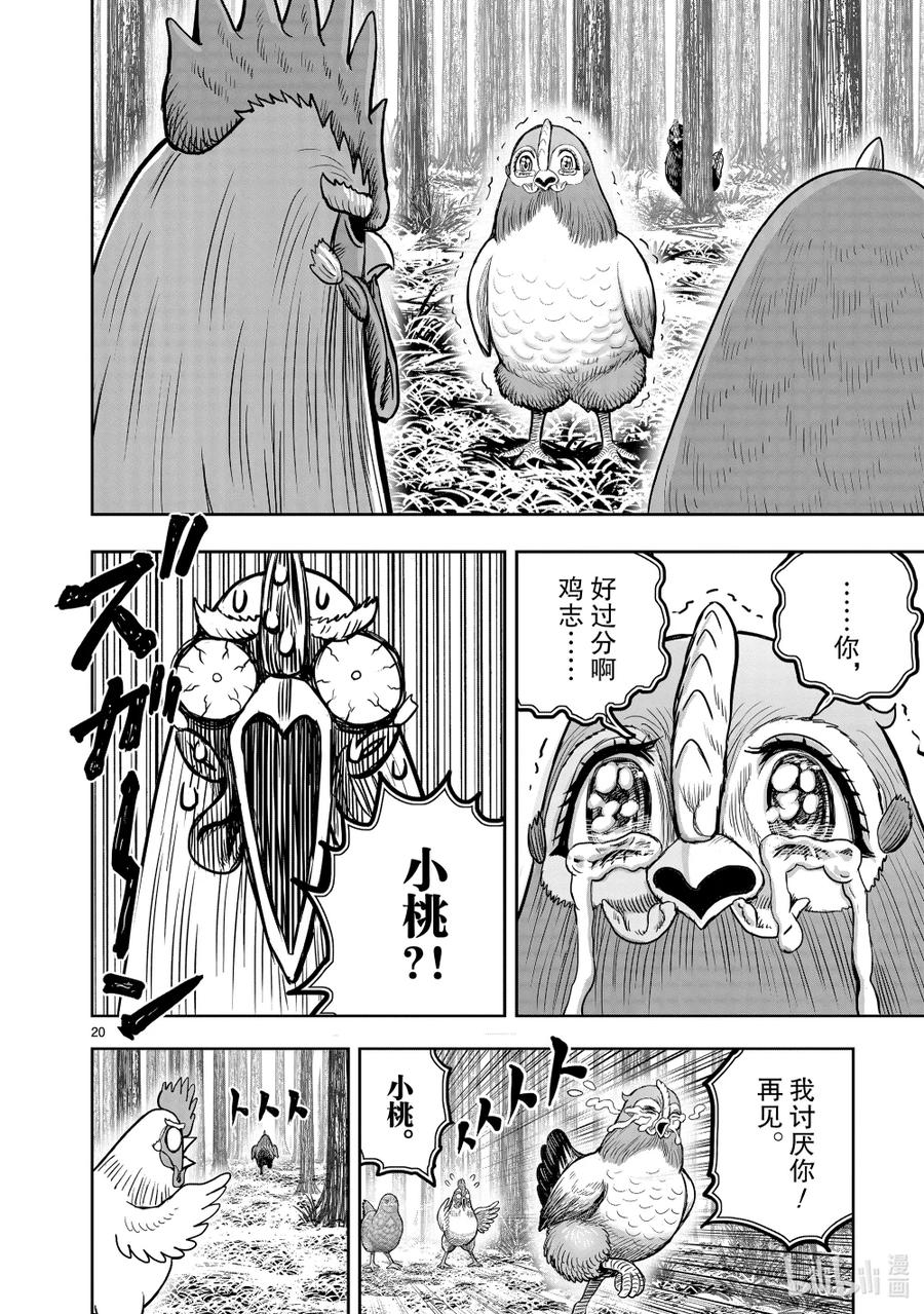 第20页