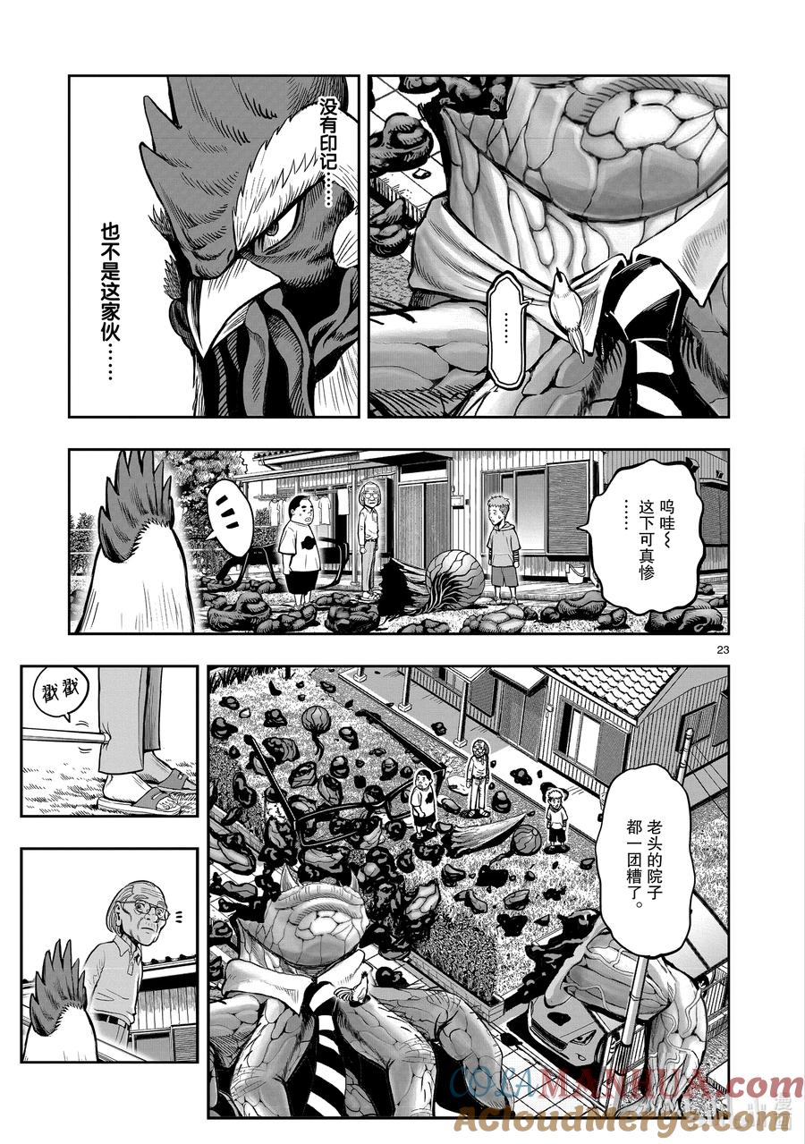 第23页
