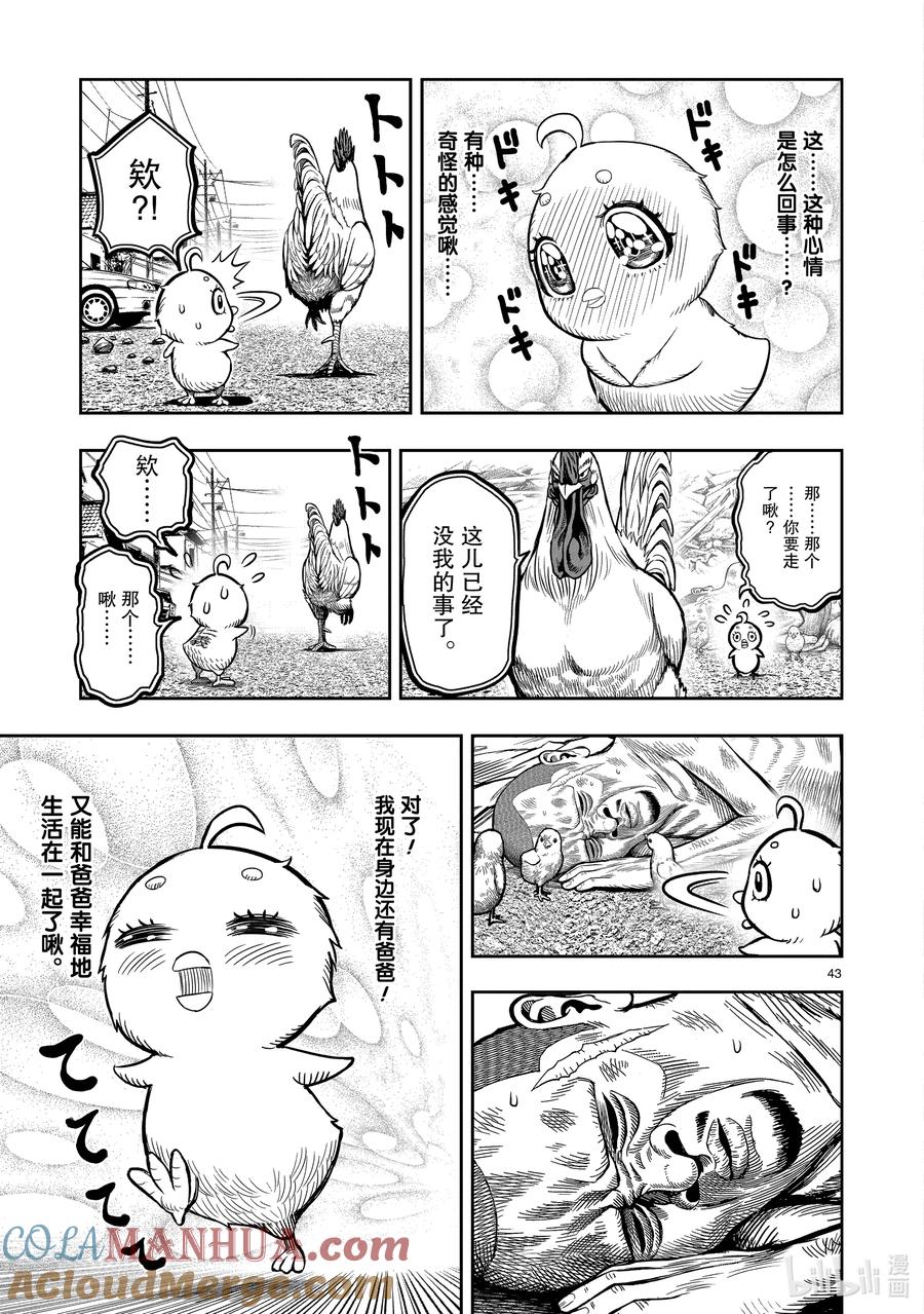 第43页