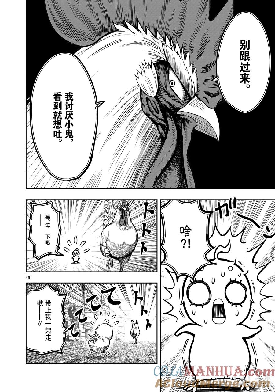 第46页
