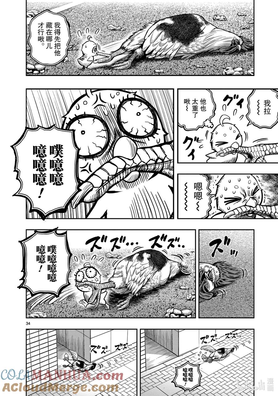第37页