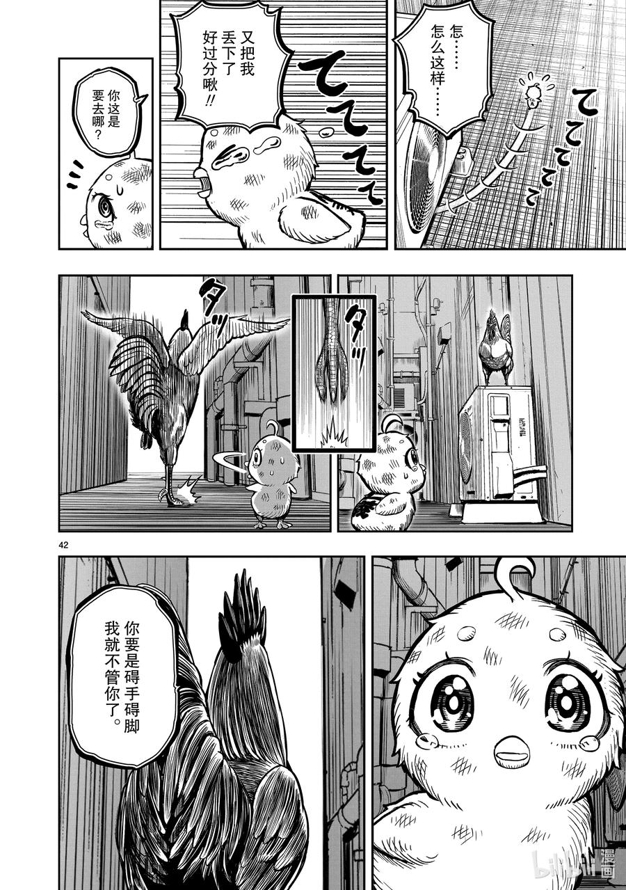 第45页