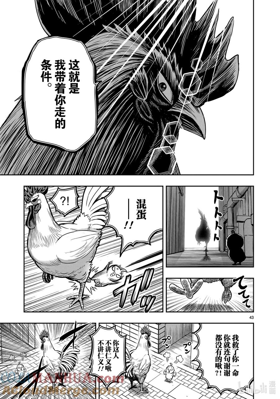第46页