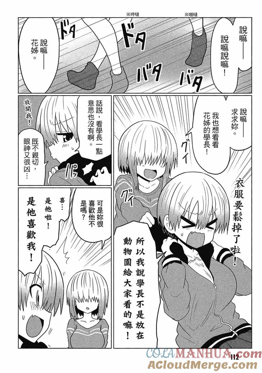 第113页
