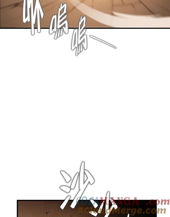 第217页