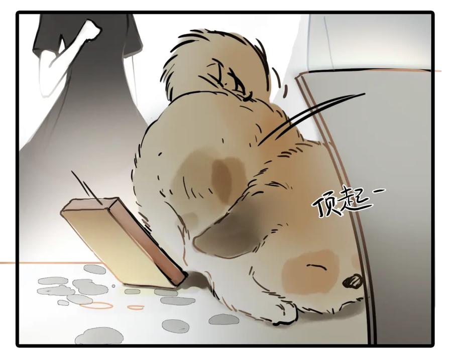 第55页